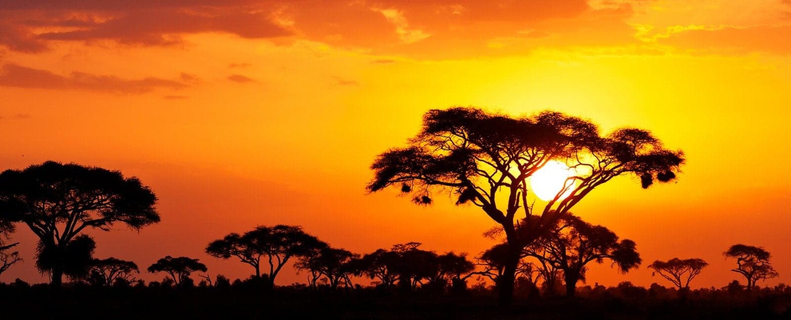 Masái Mara - Nairobi - Noche a bordo