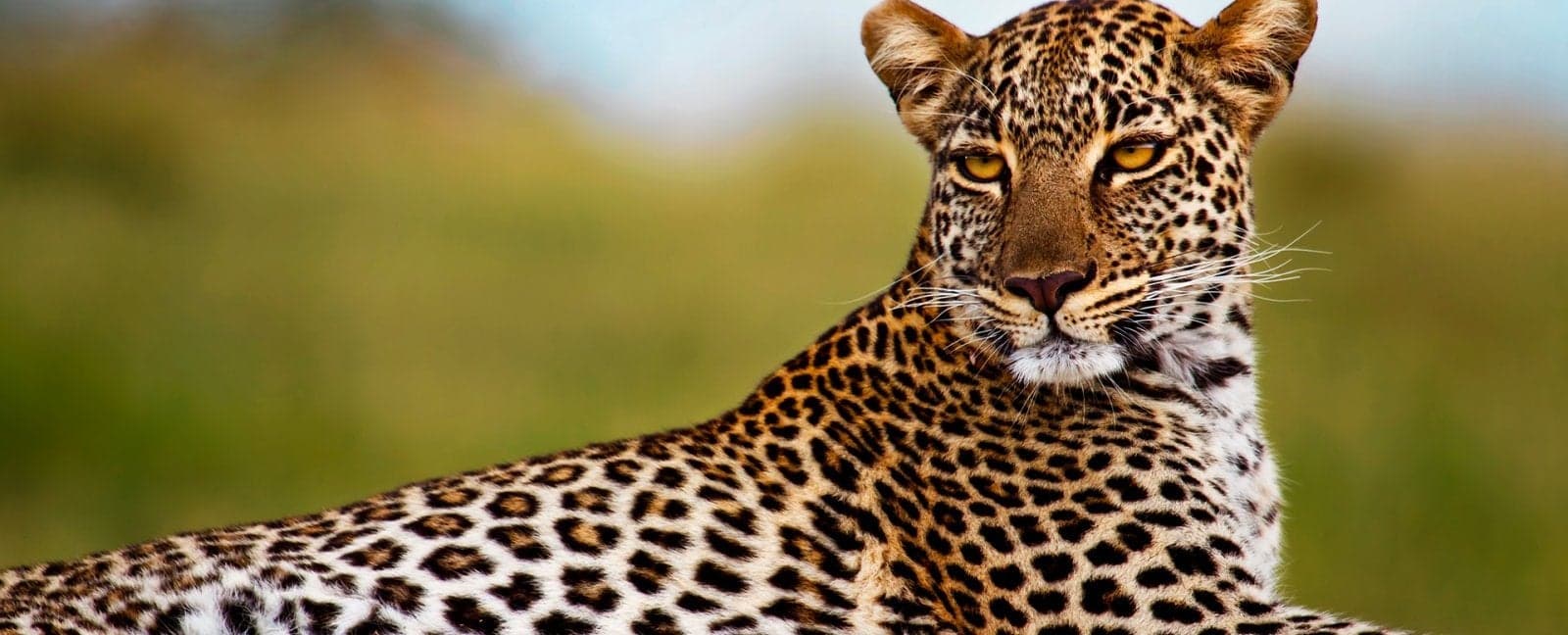 Nakuru - Reserva Nacional Masái Mara