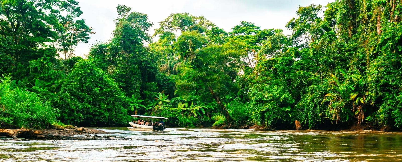 Tortuguero