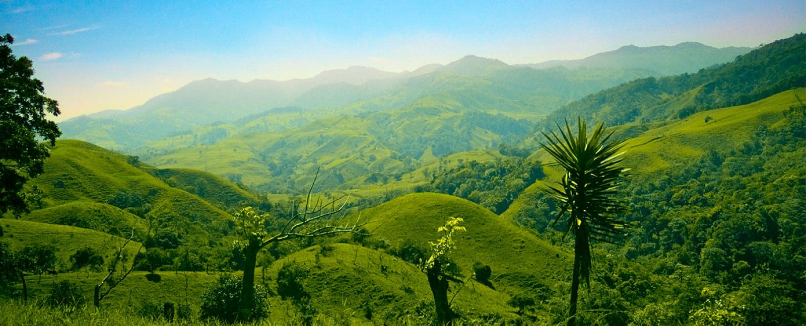 Arenal