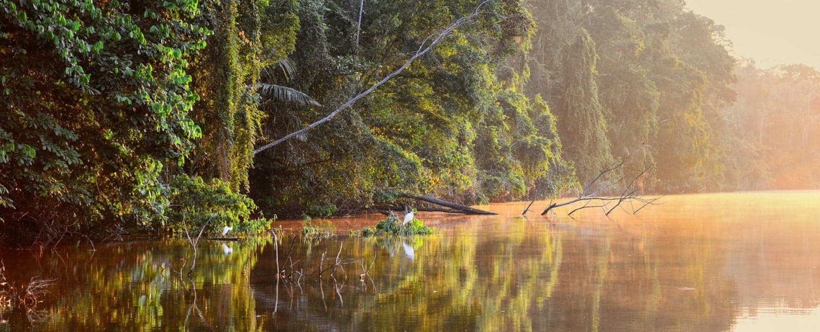 Iquitos - Amazonas