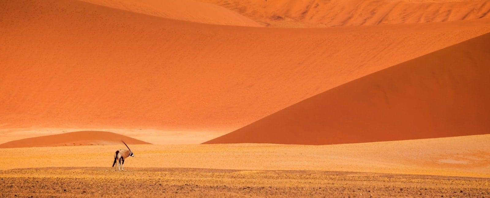Swakopmund - Soussusvlei - Naukluft Mountains