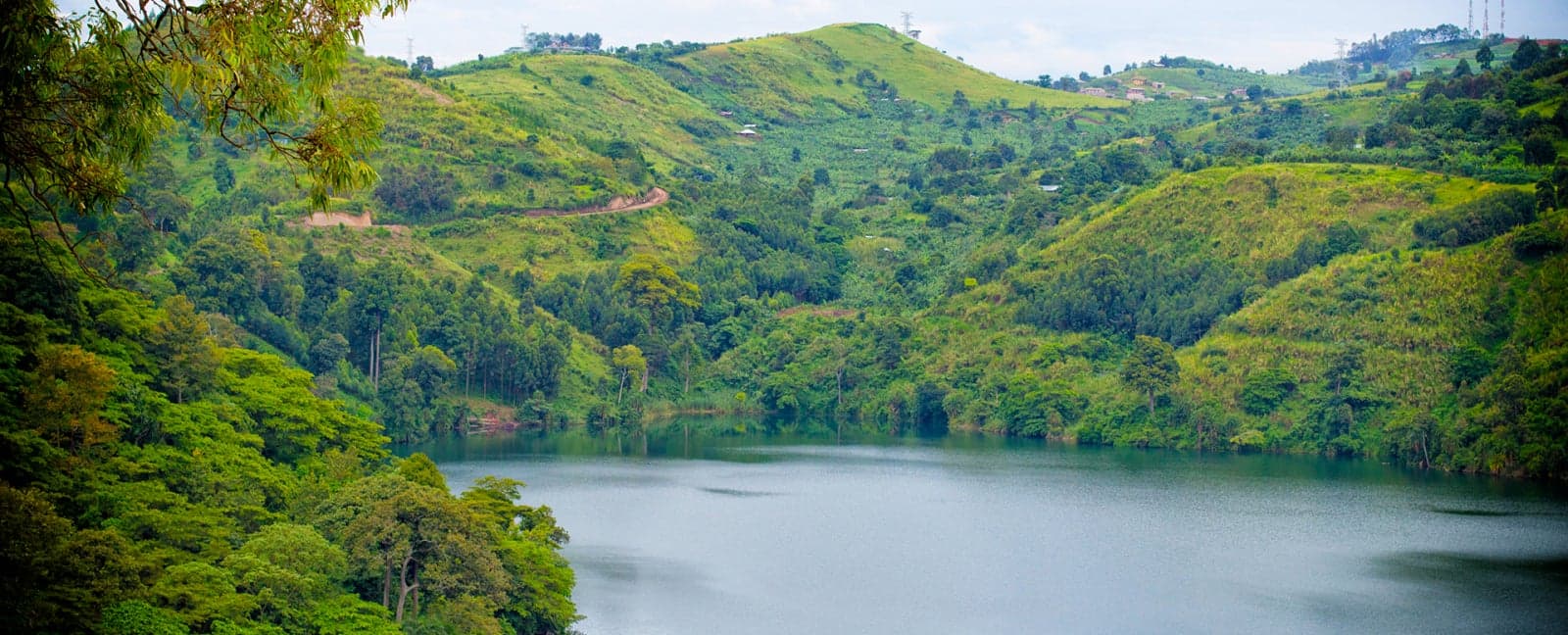 Entebbe - Kibale Forest National Park
