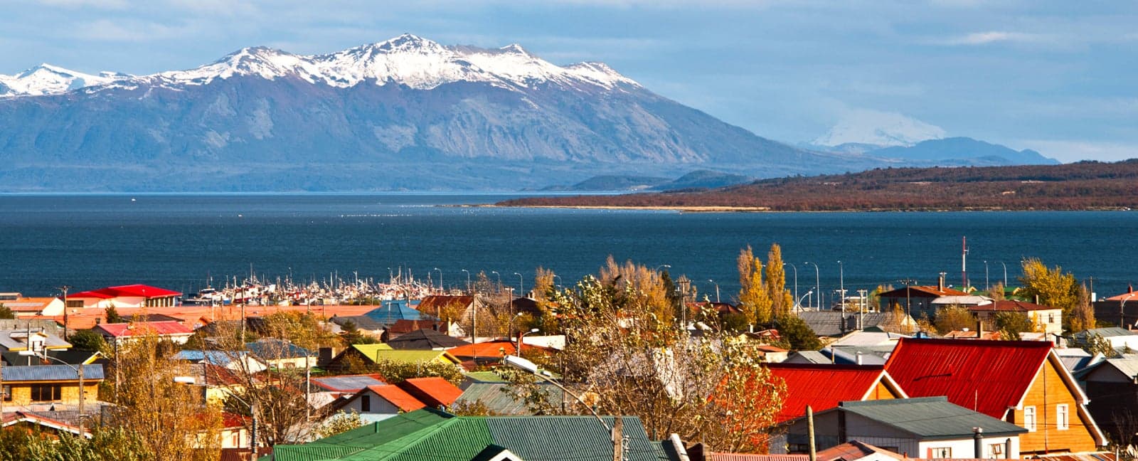 Calafate - Puerto Natales