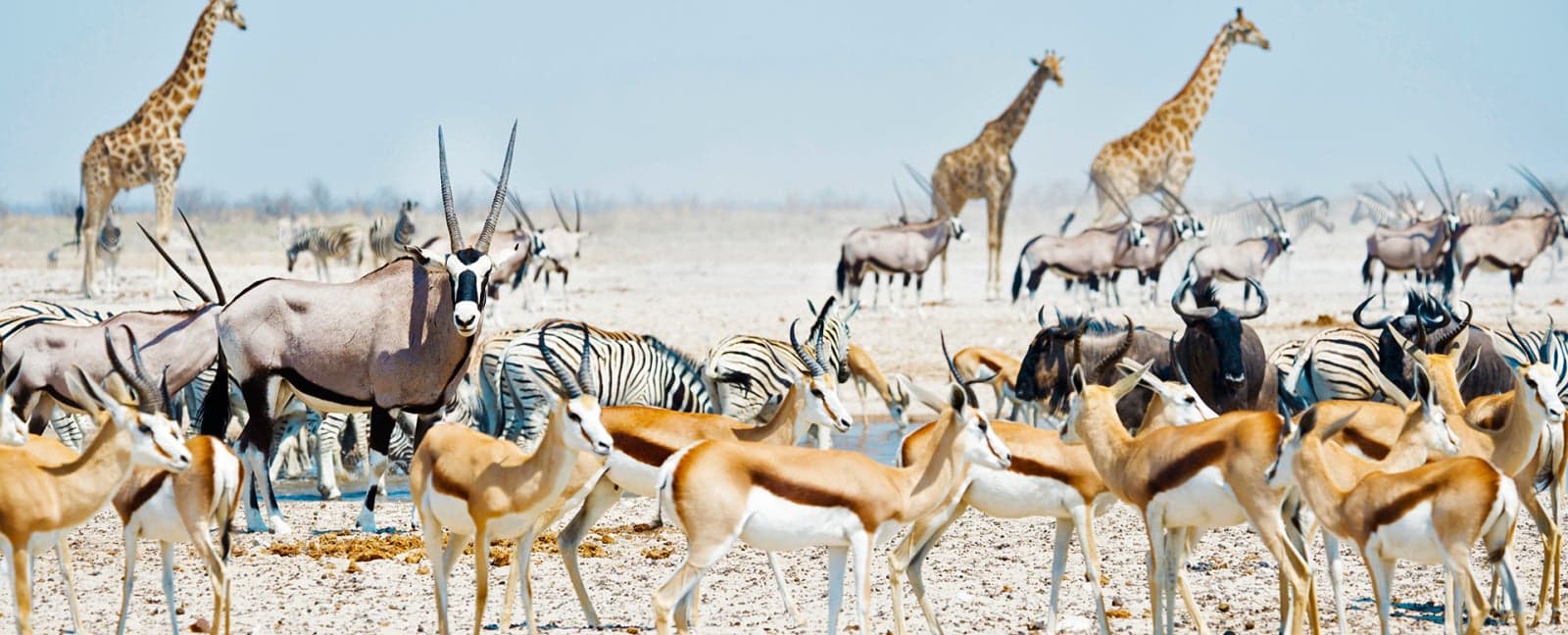 Parc National d'Etosha