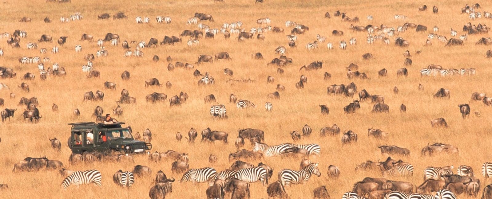 Lake Nakuru National Park - Maasai Mara National Reserve 