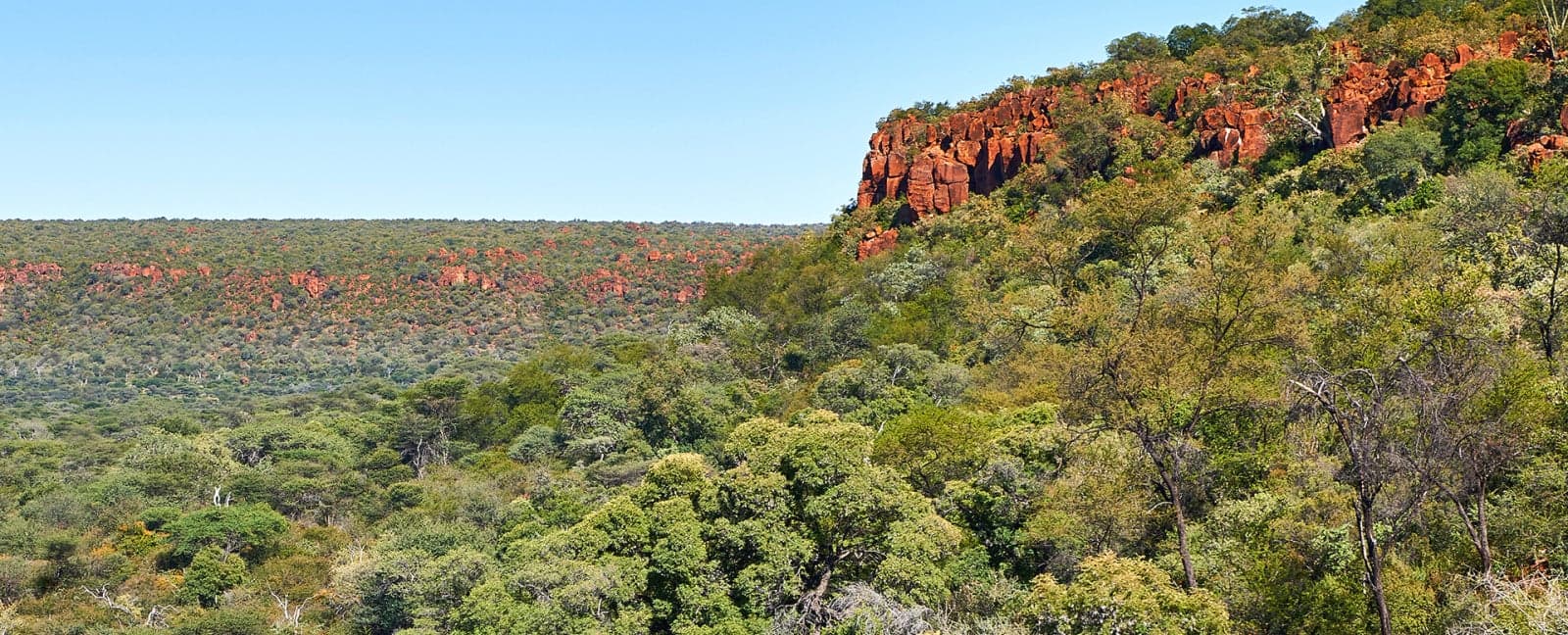Ciudad del Cabo - Windhoek - Otjiwarongo