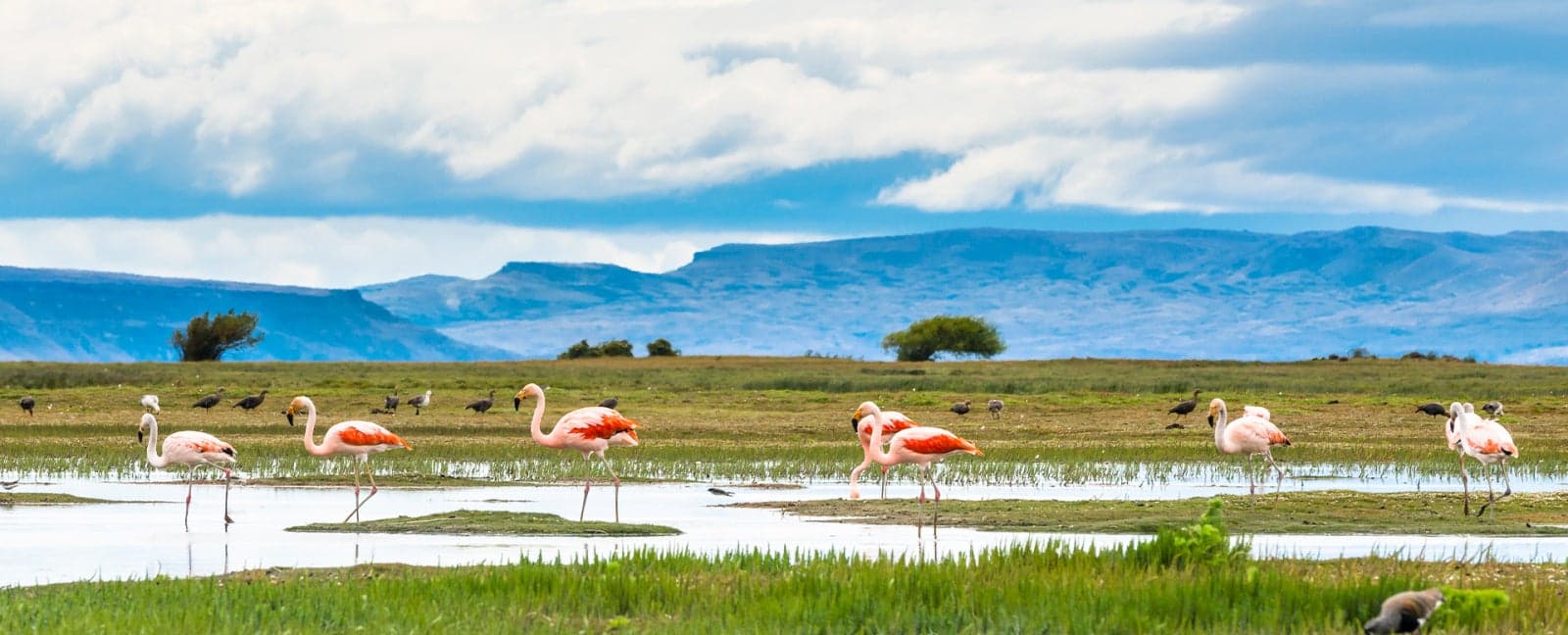 Buenos Aires - Calafate