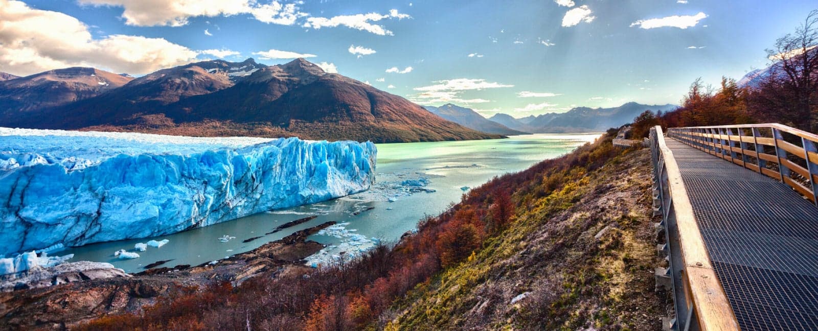 Calafate