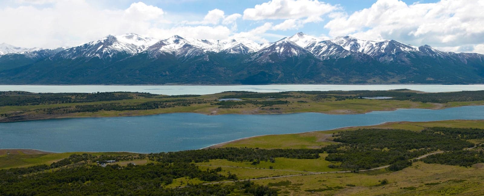 Calafate