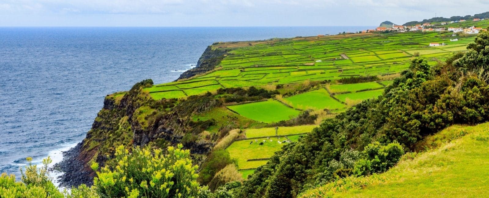Insel Sao Miguel
