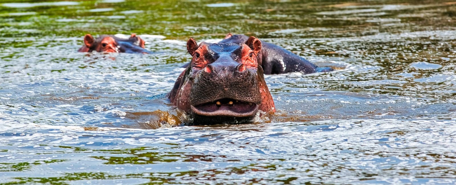 Parque Nacional del Lago Mburo