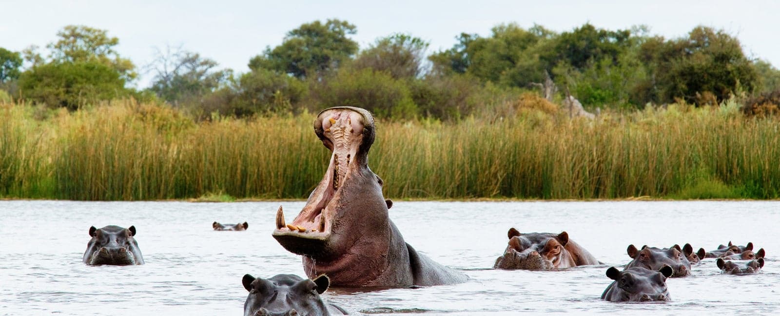 Kasane - Chobe National Park 