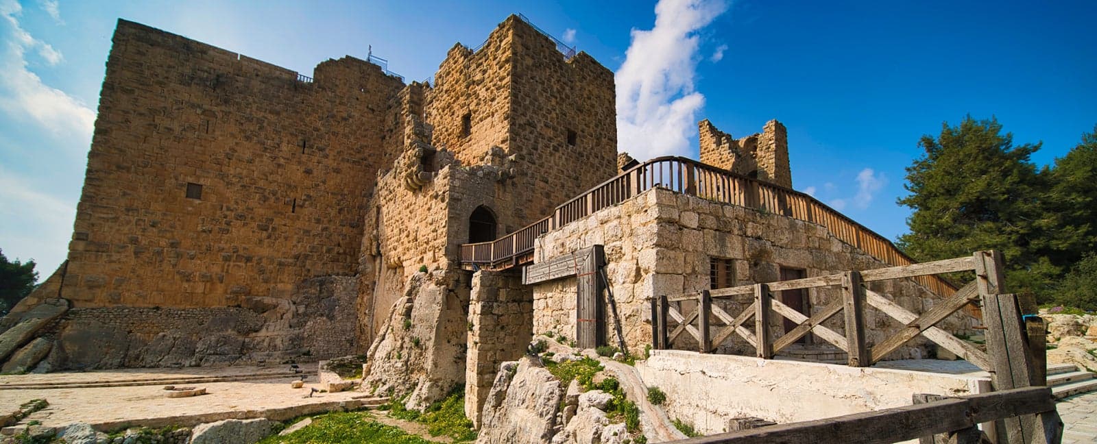 Amman - Jerash - Ajloun Castle - Amman