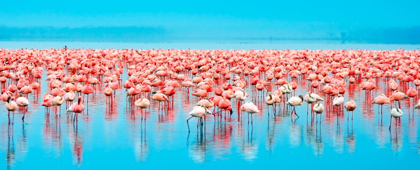 Nairobi - Lake Nakuru National Park