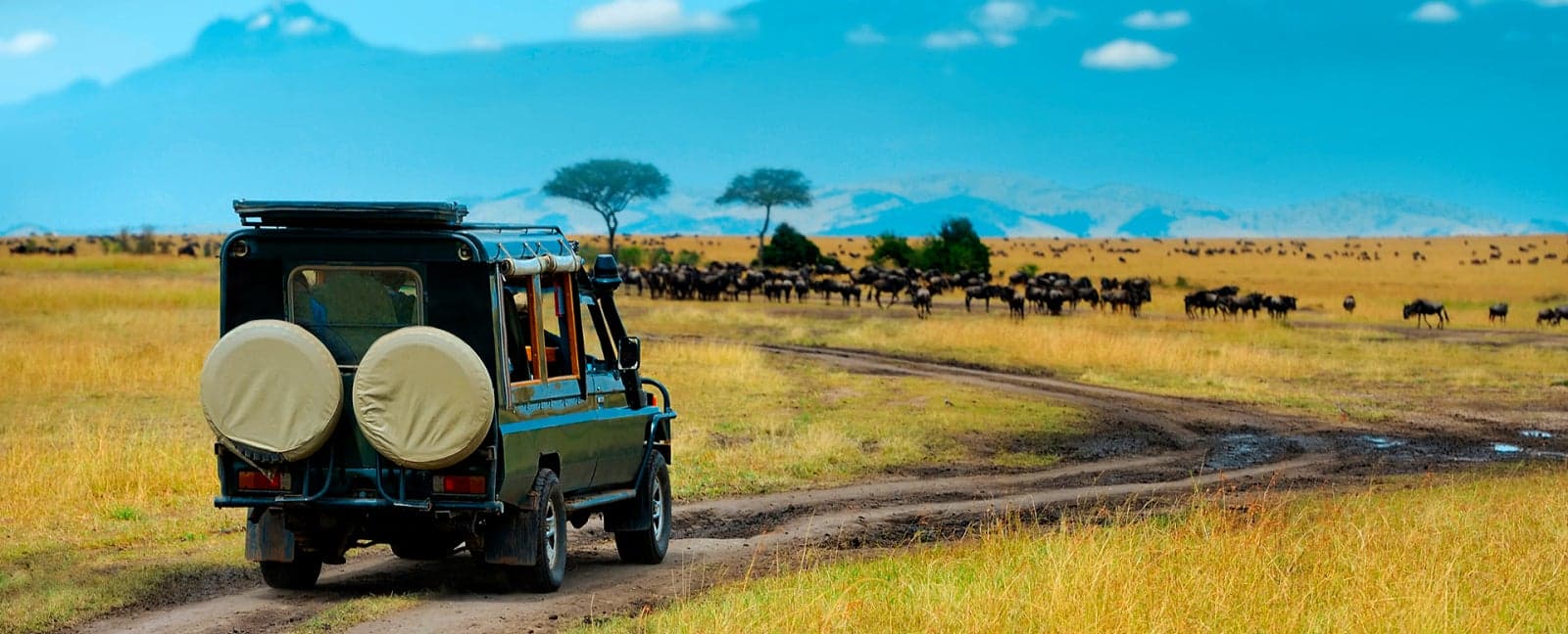 Lake Nakuru National Park - Maasai Mara National Reserve 
