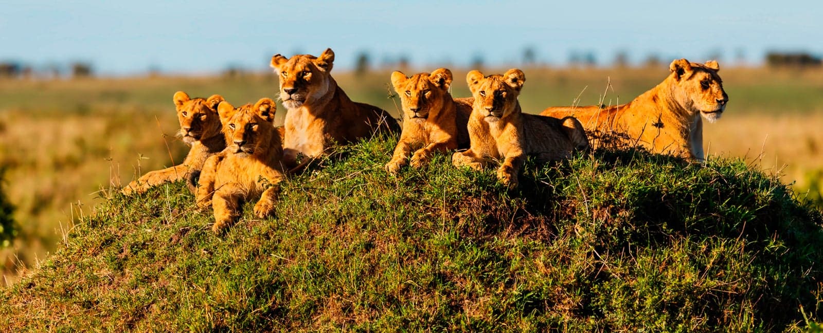 Maasai Mara National Reserve 