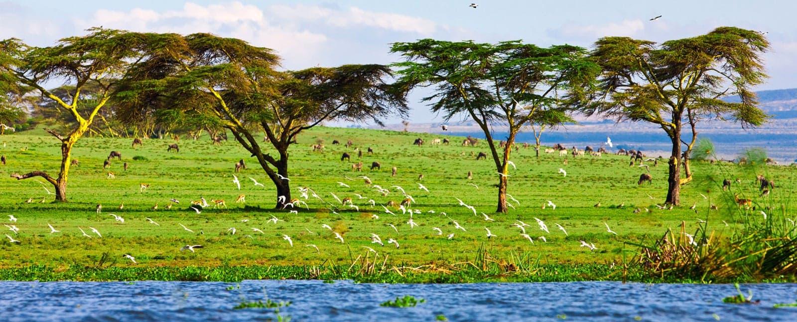 Maasai Mara National Reserve - Nyahururu