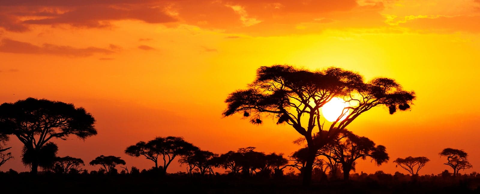 Nairobi - Night on board