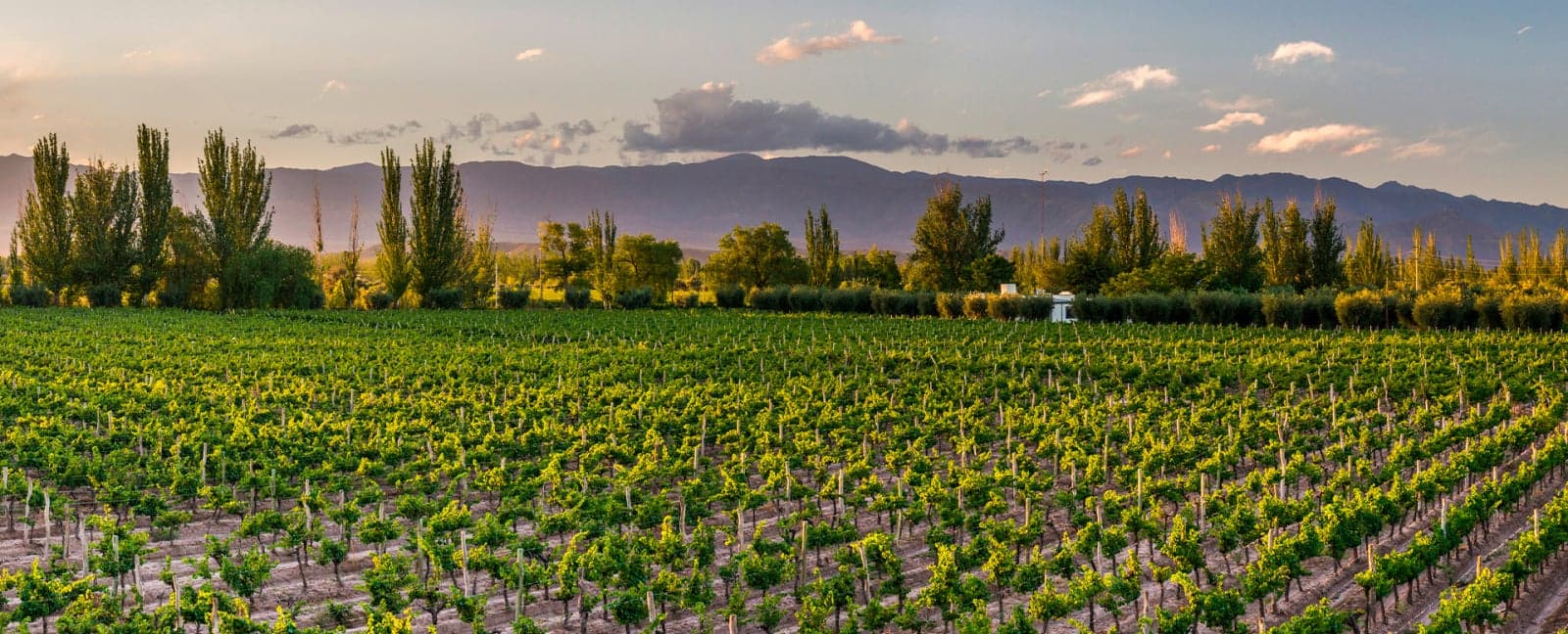Mendoza
