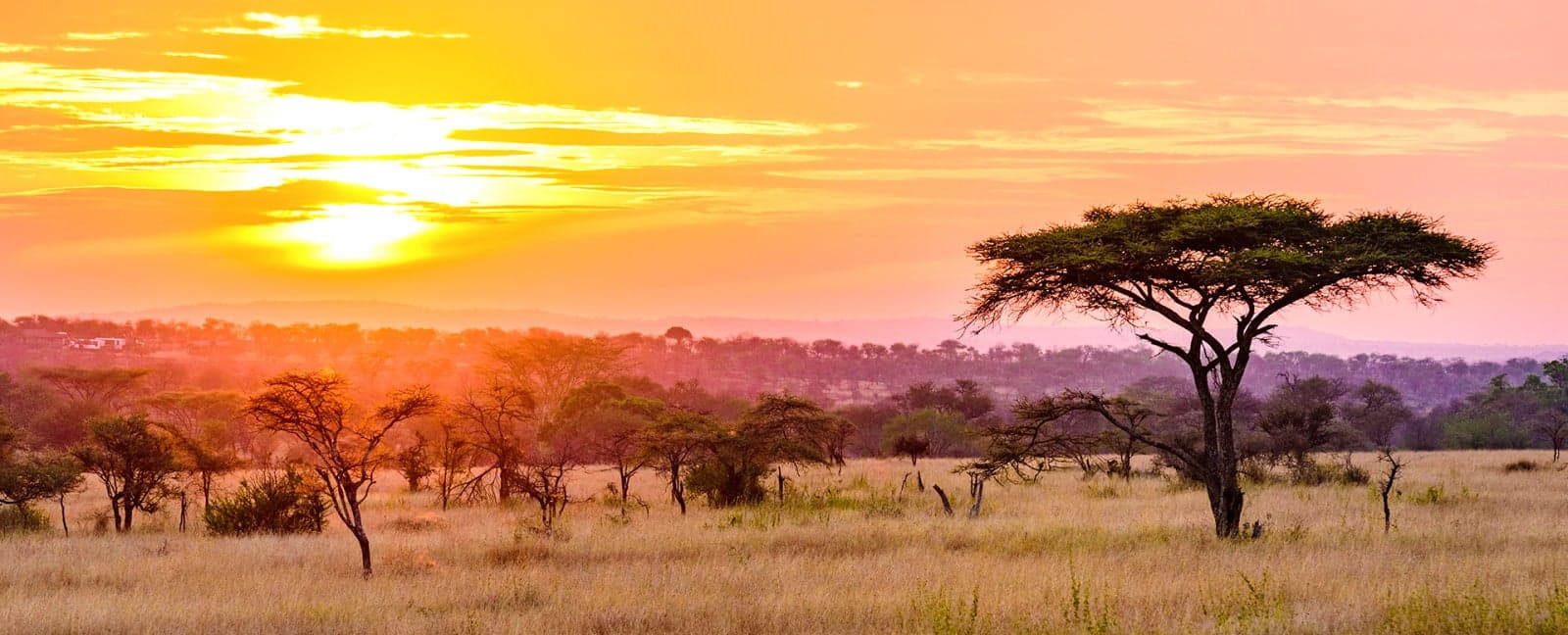 Arusha - Night on board