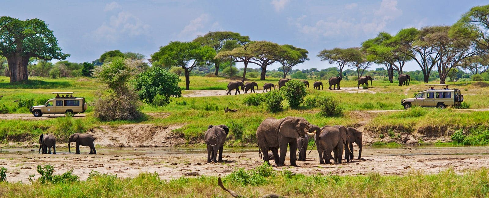 Arusha - Tarangire National Park