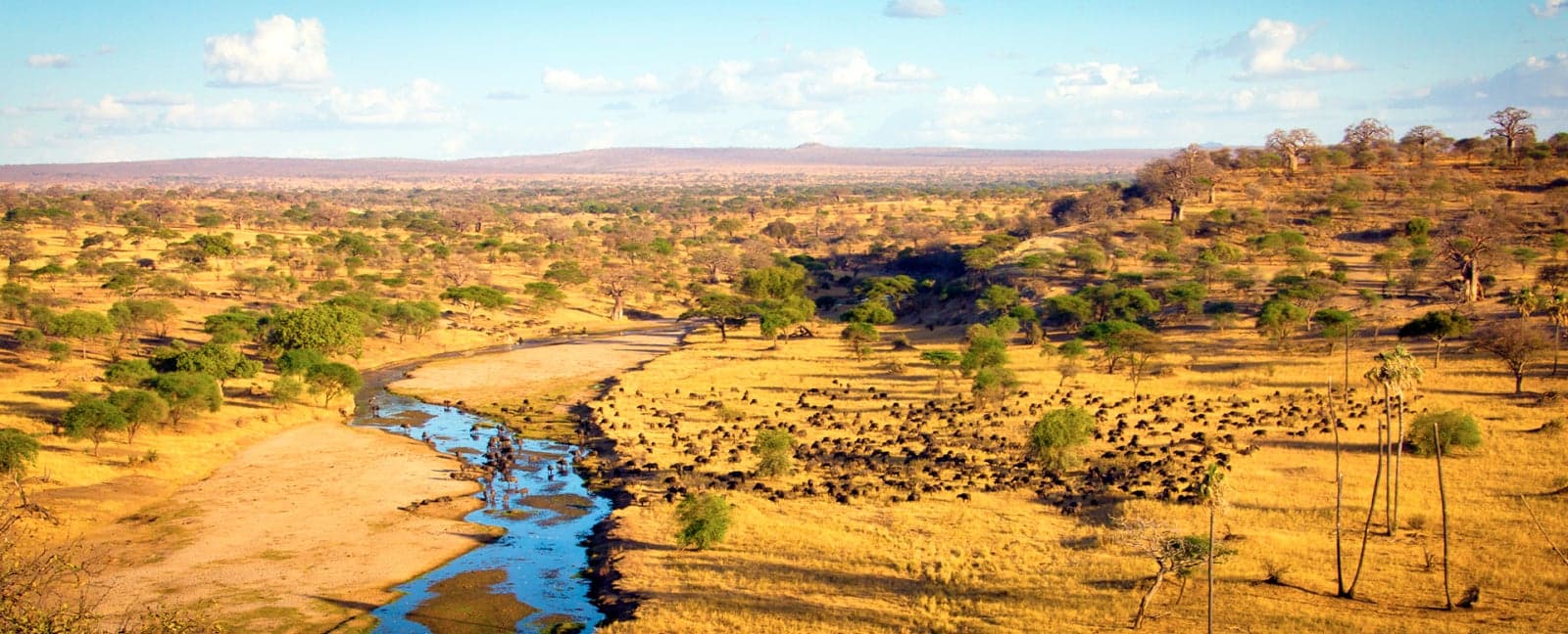 Tarangire National Park - Serengeti National Park