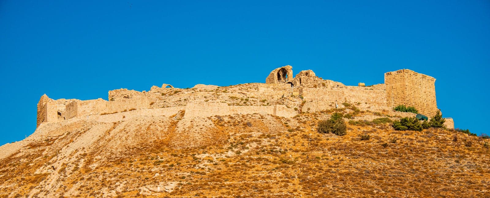 Amman - Madaba - Mount Nebo - Shobak Castle - Petra