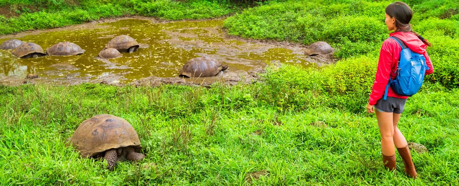 Guayaquil - Santa Cruz, Islas Galápagos