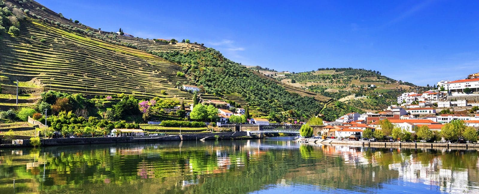 Porto - Douro Valley - Porto