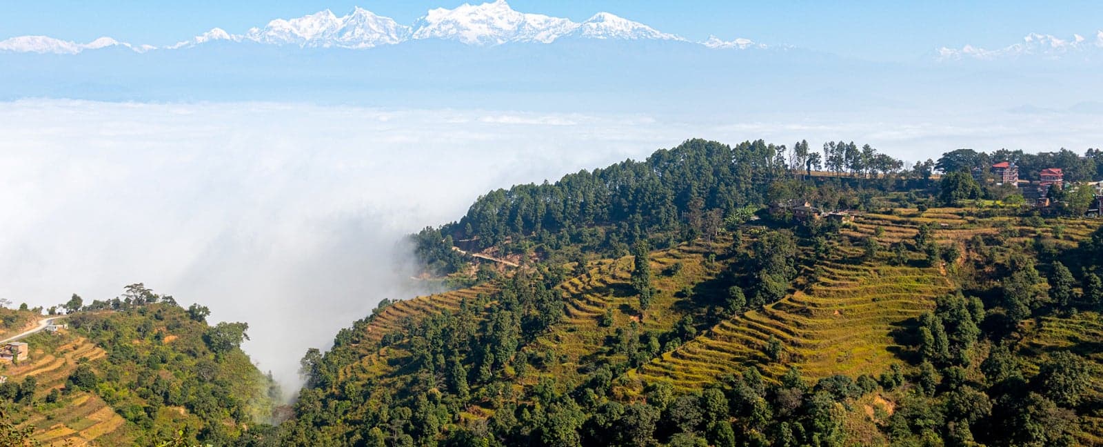 Chitwan - Pokhara