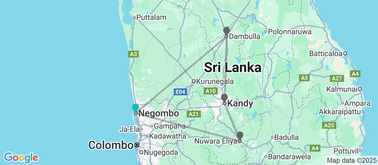 Trip map