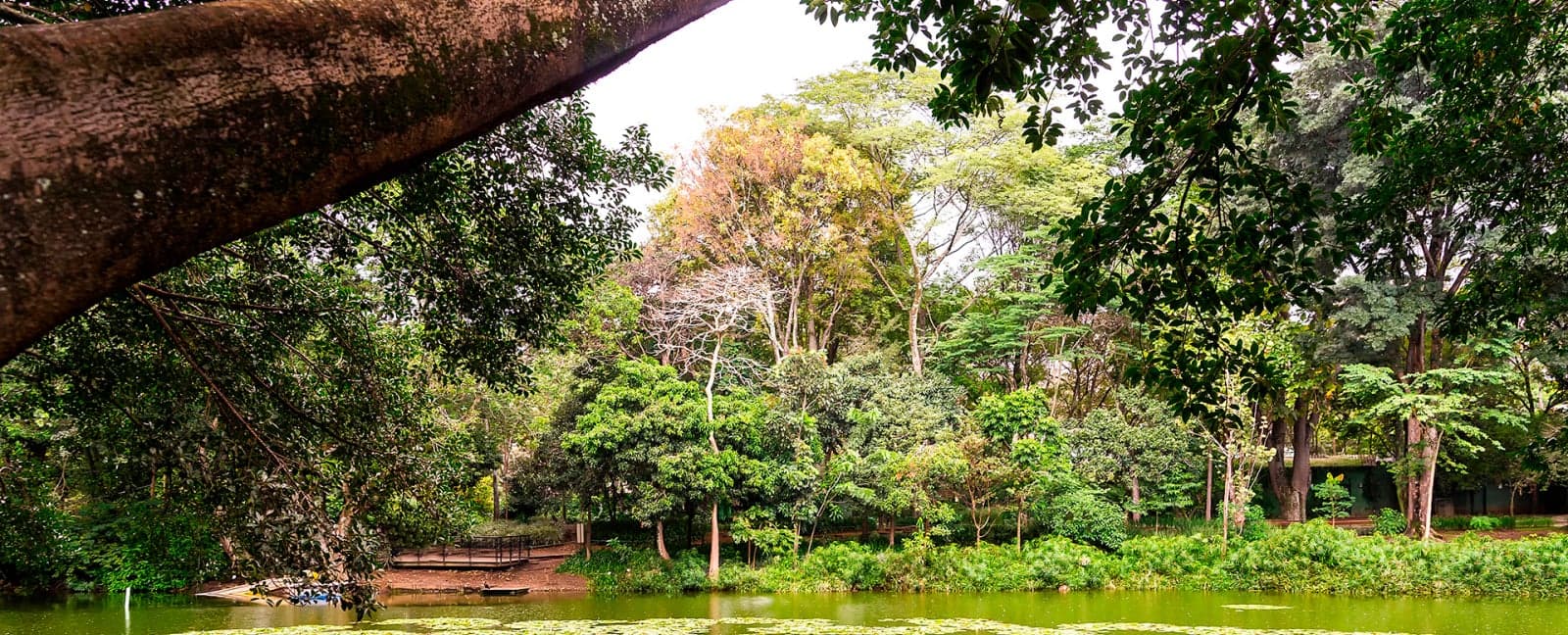 Medellín