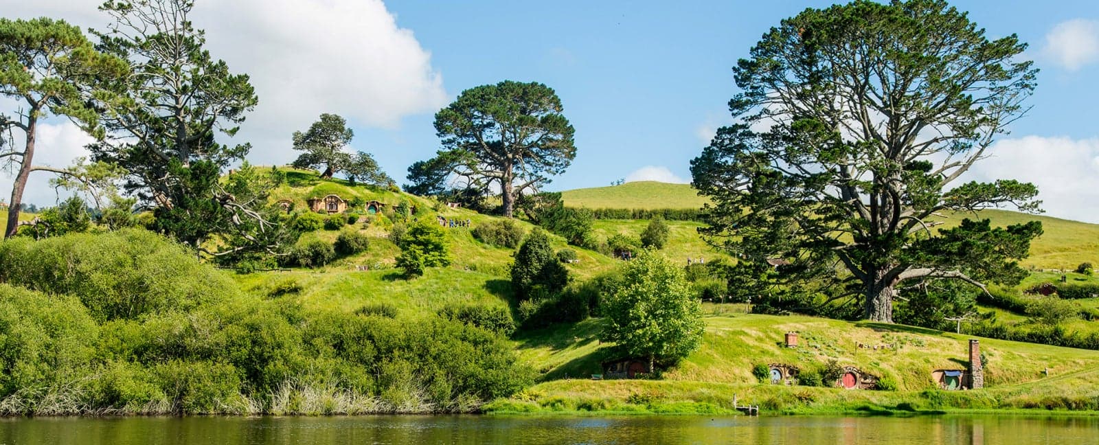 Auckland - Rotorua