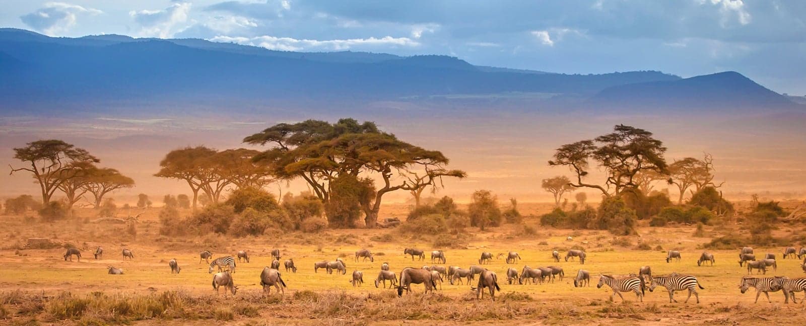 Amboseli National Park