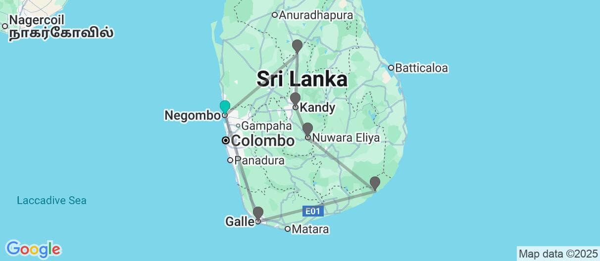 Trip map
