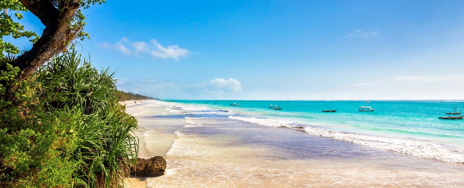 Diani