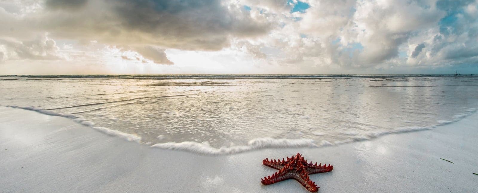 Diani