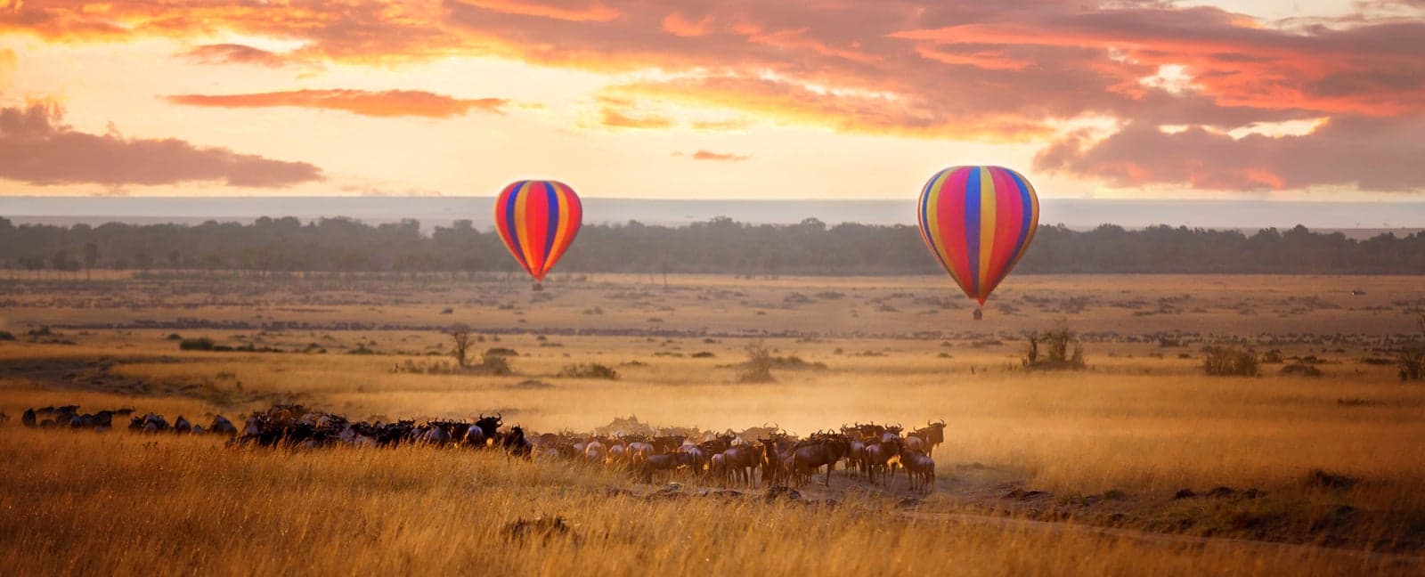 Reserva nacional Masái Mara - Nairobi