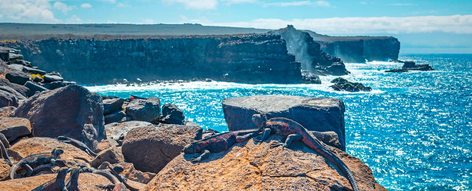 Isla Genovesa (Galapagos)