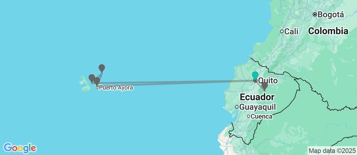 Trip map