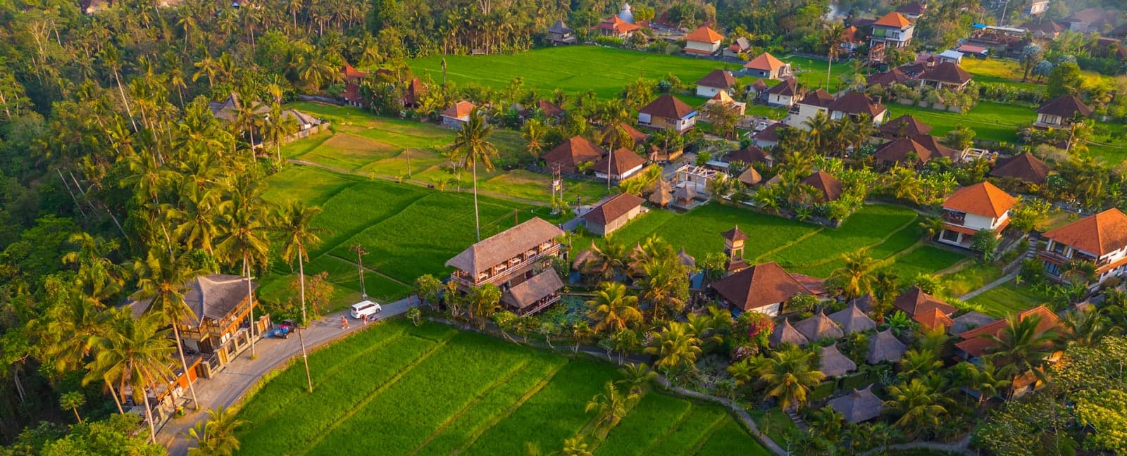 Denpasar - Ubud 