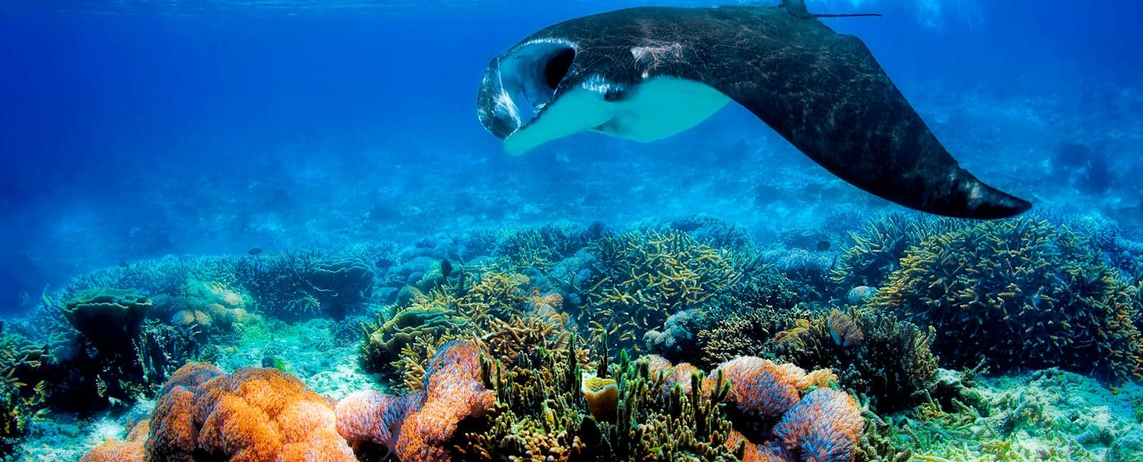 Labuan Bajo