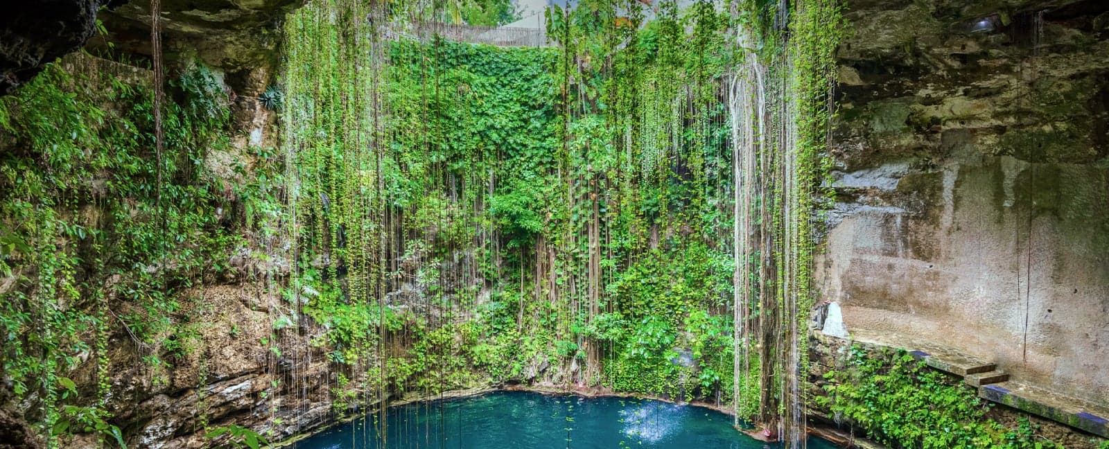 Merida - Cenotes - Merida