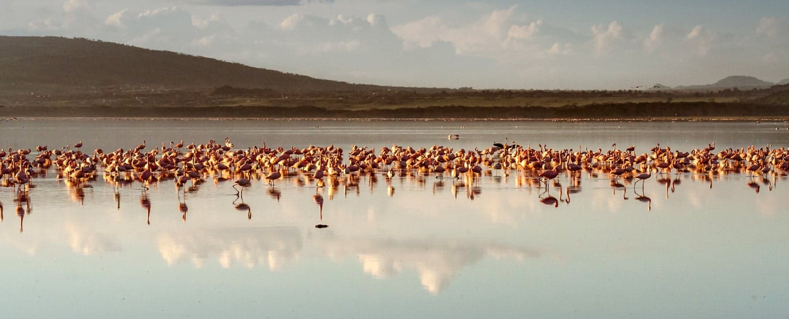 Amboseli National Park - Lake Naivasha