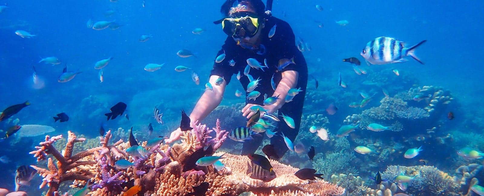 Sharm El-Sheij