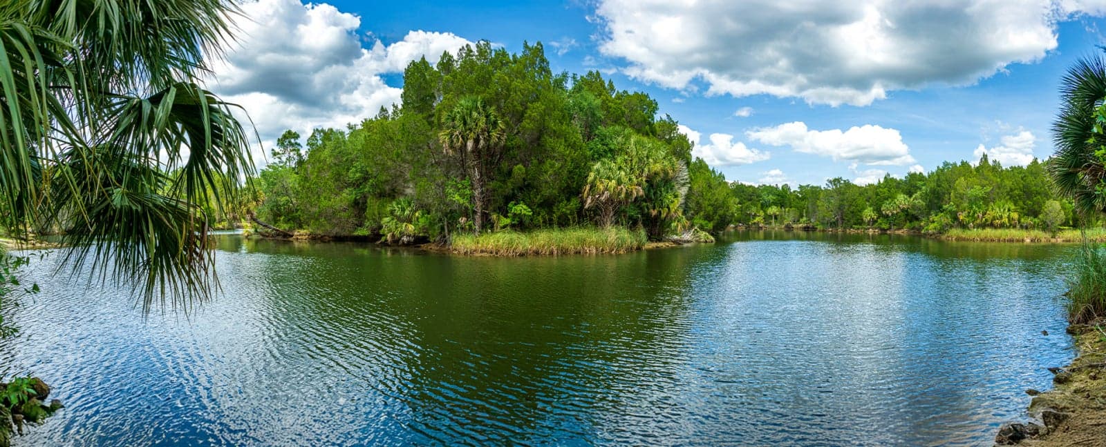 St. Augustine - Crystal River - Clearwater/Tampa Bay