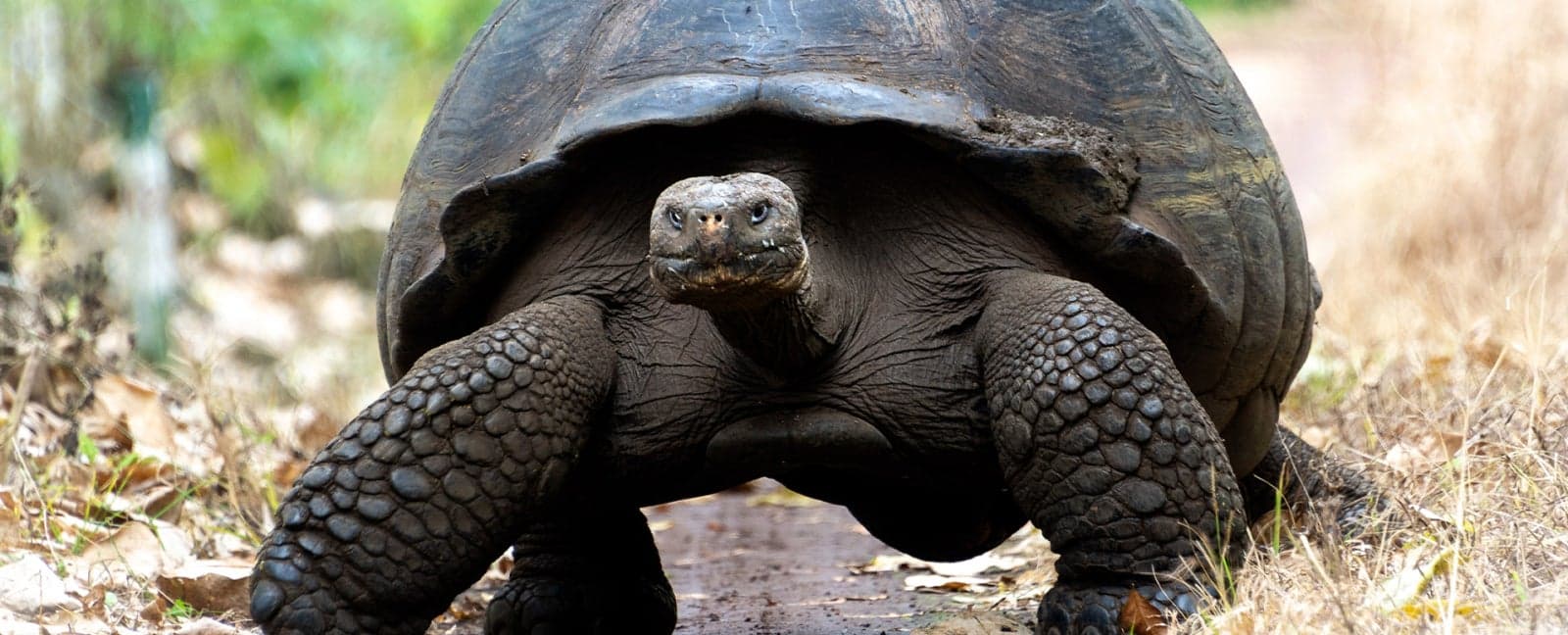 San Cristobal, Galapagos Islands