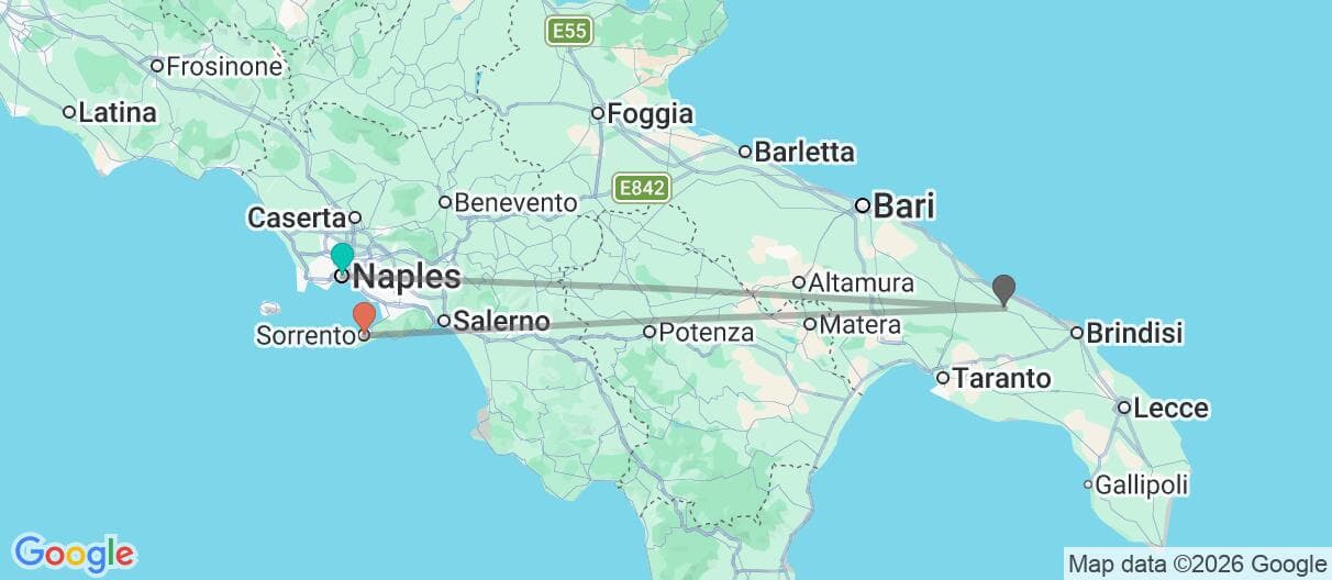 Trip map