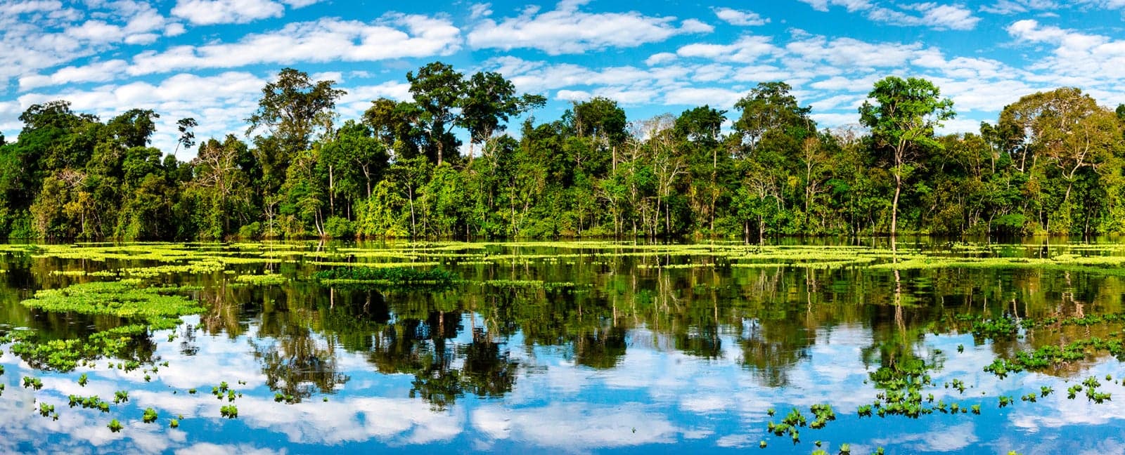 Iquitos